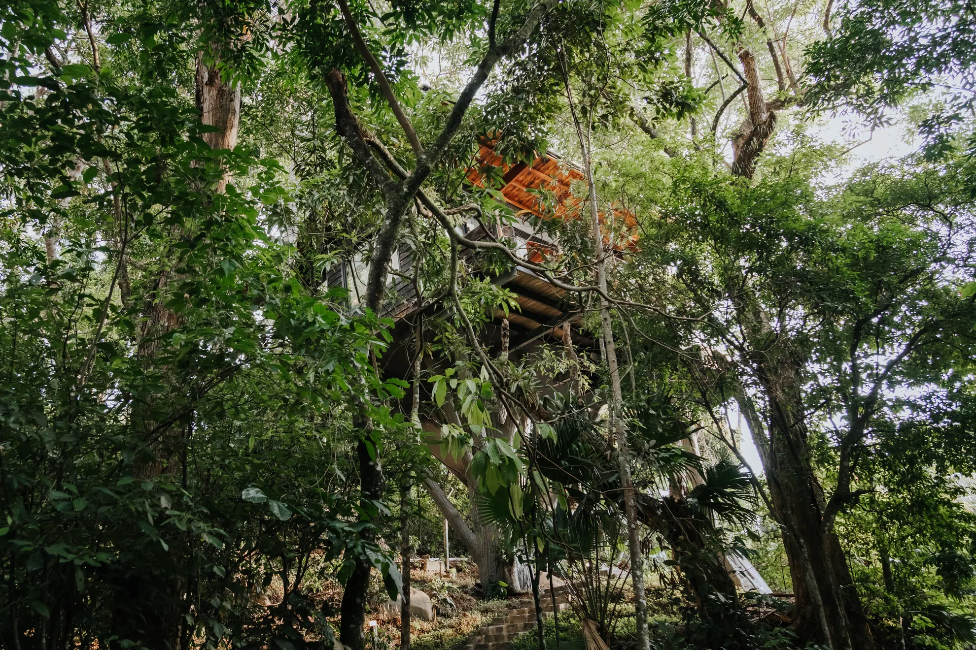 casamar-ilhabela-casa-na-arvore6